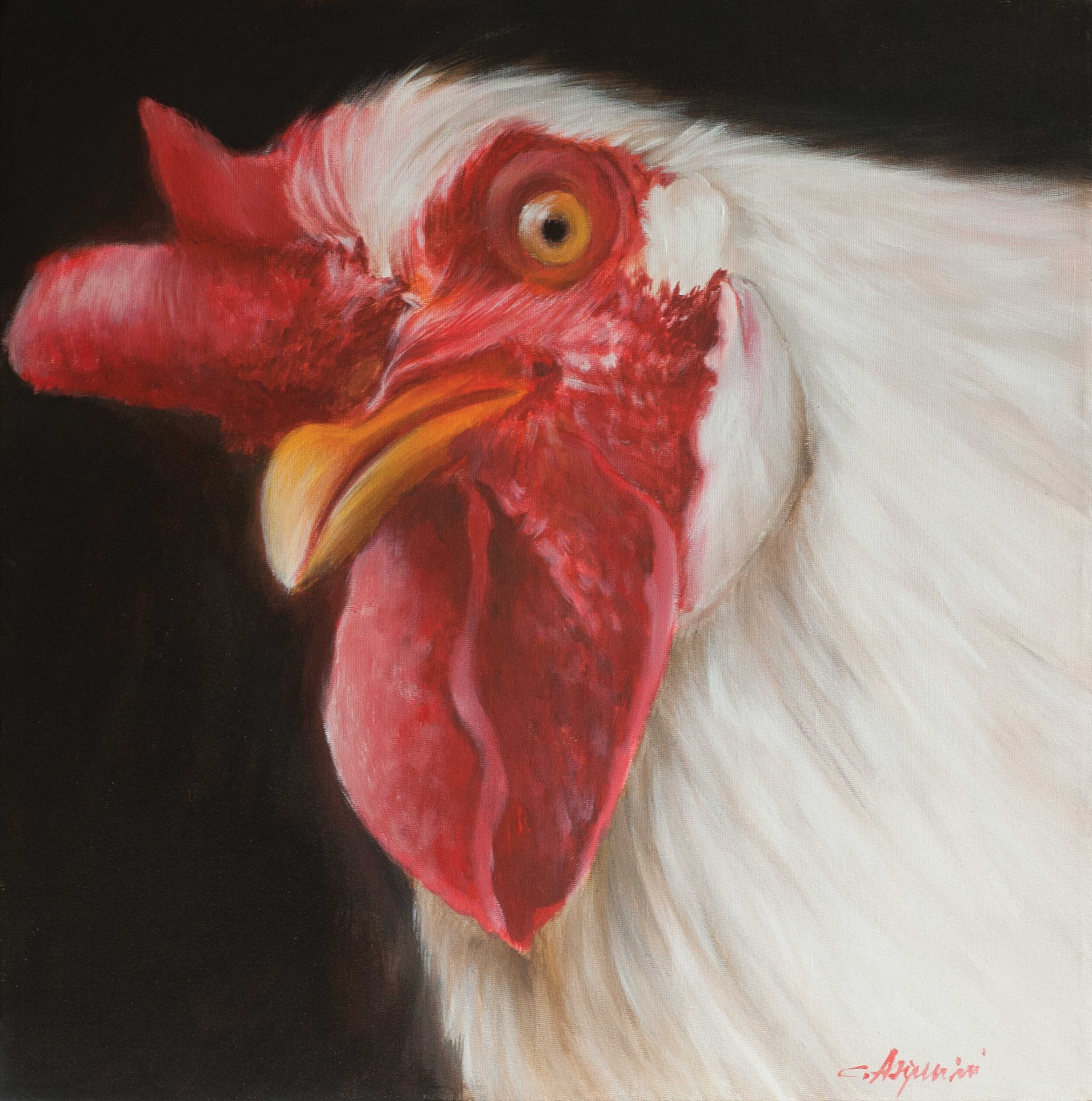 Rooster_2