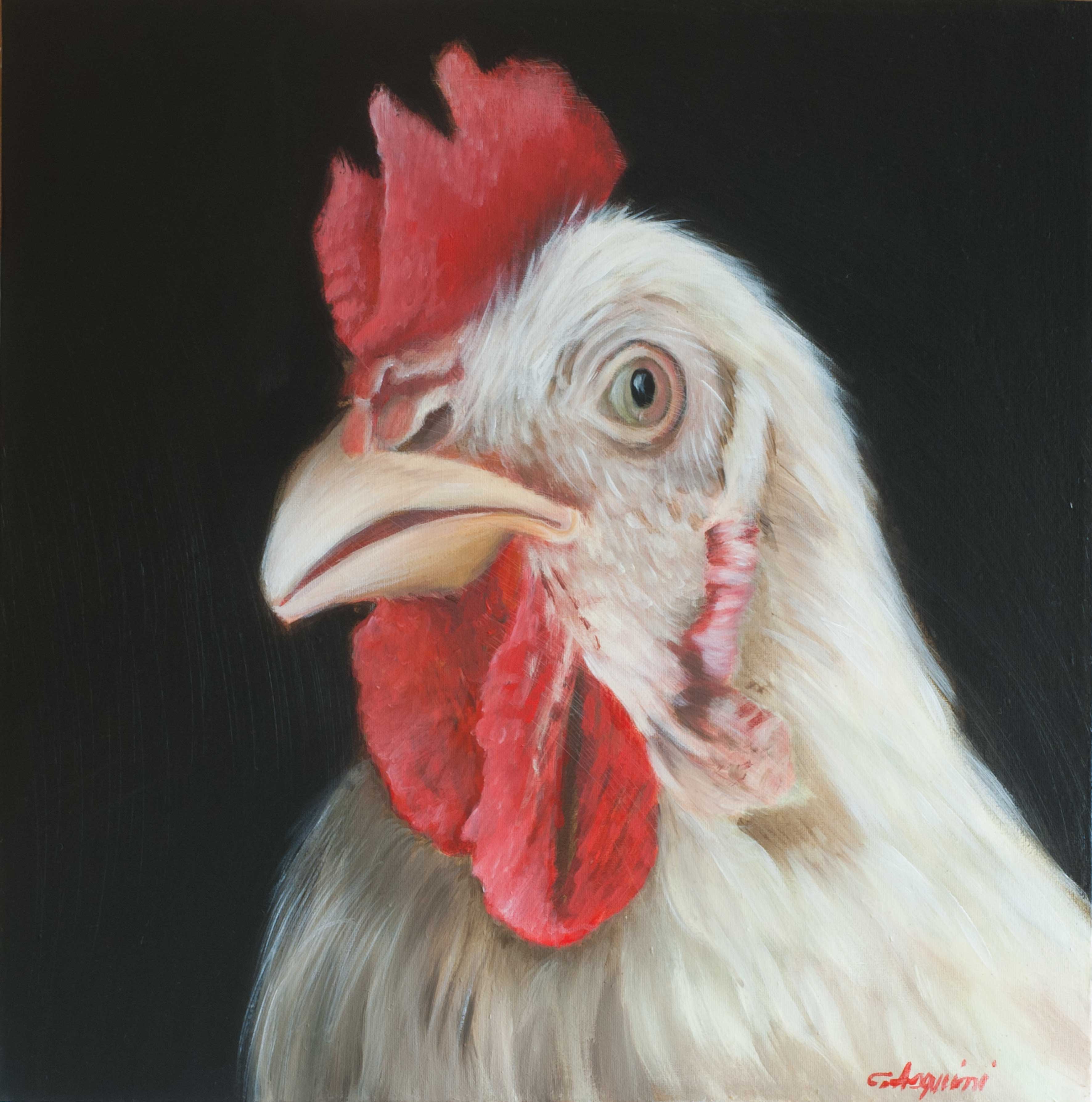 Rooster_3
